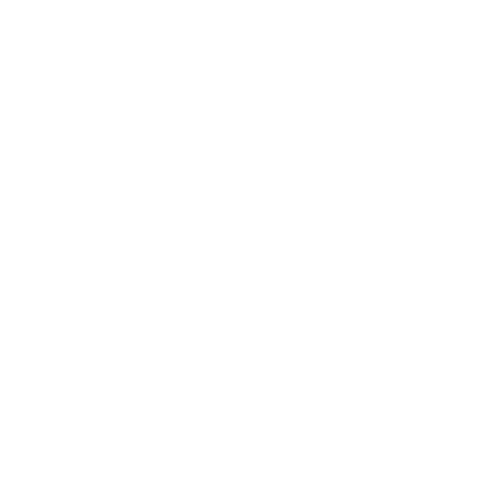 Cour des Vosges@2x