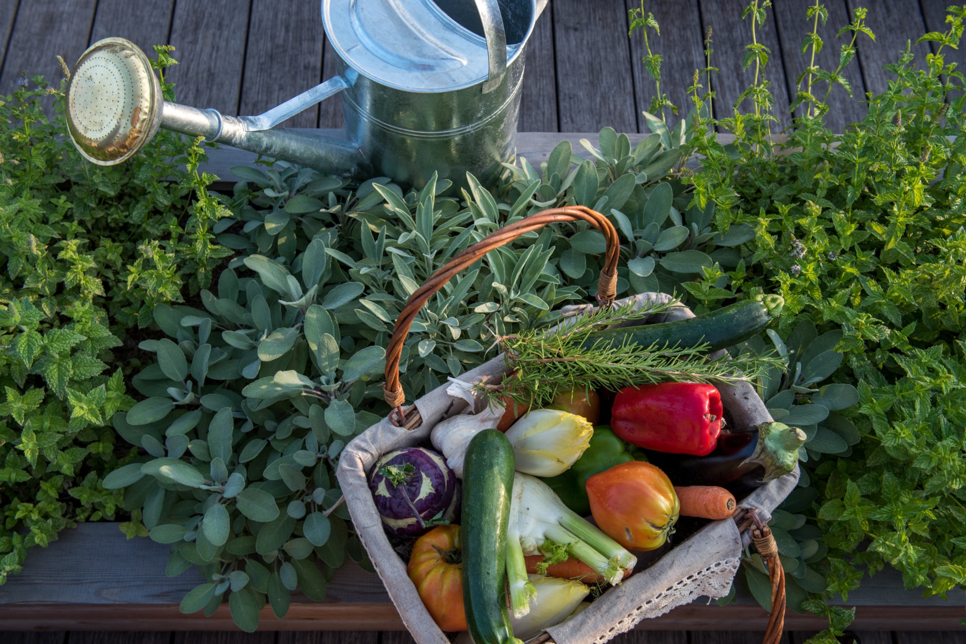 Dotation légumes - Evok Colelction - RSE